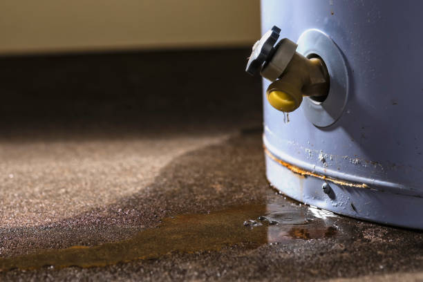Best Flooded house restoration  in Johnson Lane, NV