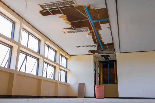 Best 24/7 water damage repair  in Johnson Lane, NV