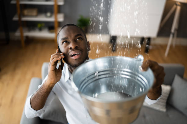 Best Local water damage restoration  in Johnson Lane, NV