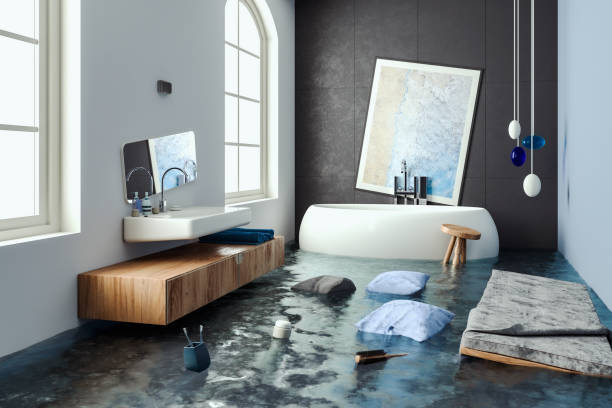  Johnson Lane, NV Water damage restoration Pros