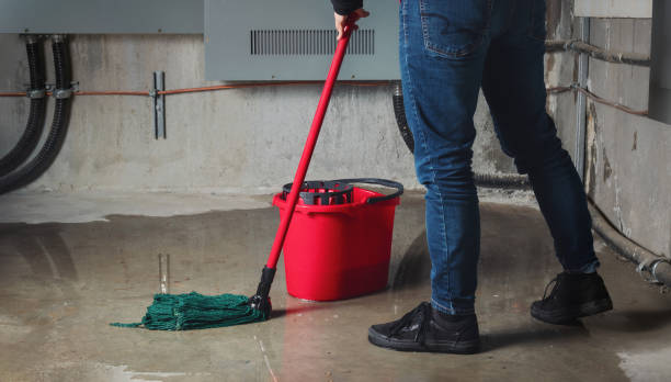 Best Water damage restoration near me  in Johnson Lane, NV