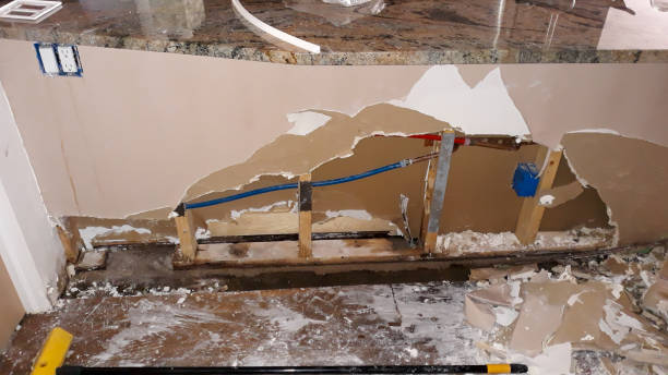 Best Water damage restoration near me  in Johnson Lane, NV
