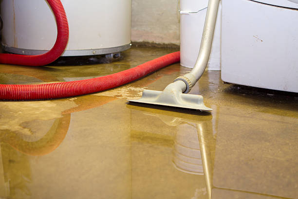 Best Water damage restoration near me  in Johnson Lane, NV