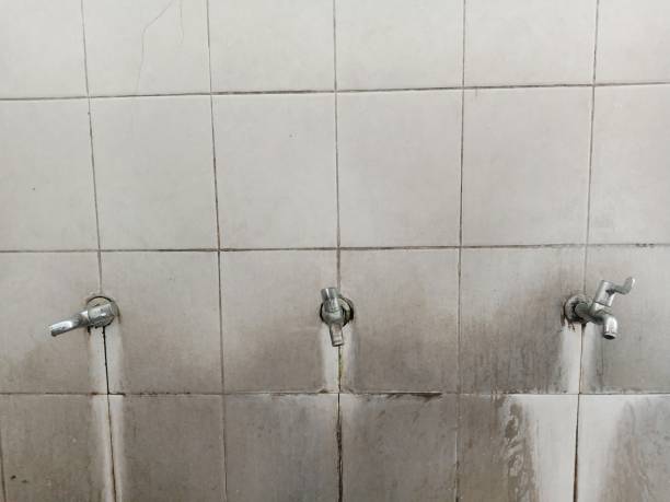 Best Commercial water damage restoration  in Johnson Lane, NV