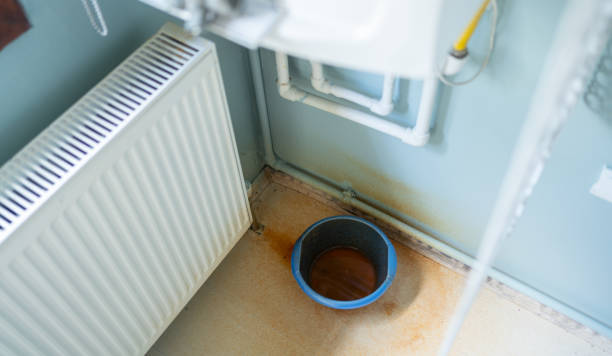 Best Water damage restoration near me  in Johnson Lane, NV
