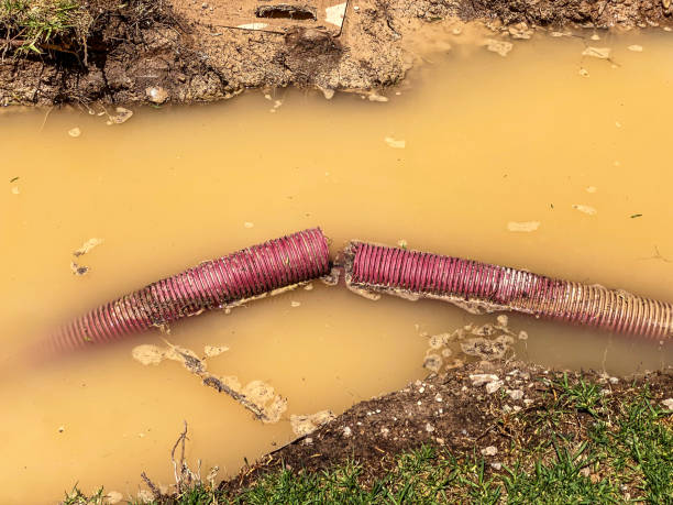 Best Water damage cleanup near me  in Johnson Lane, NV