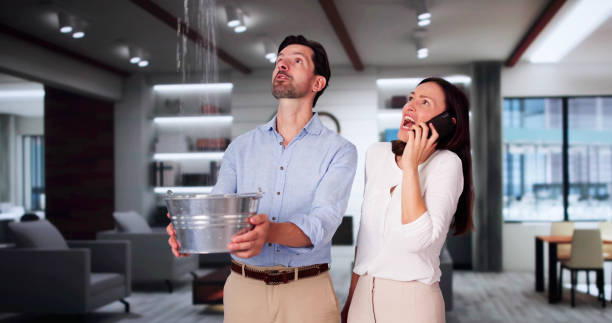 Best Mold removal after water damage  in Johnson Lane, NV